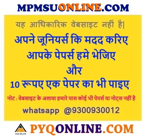 MPMSU University Papers